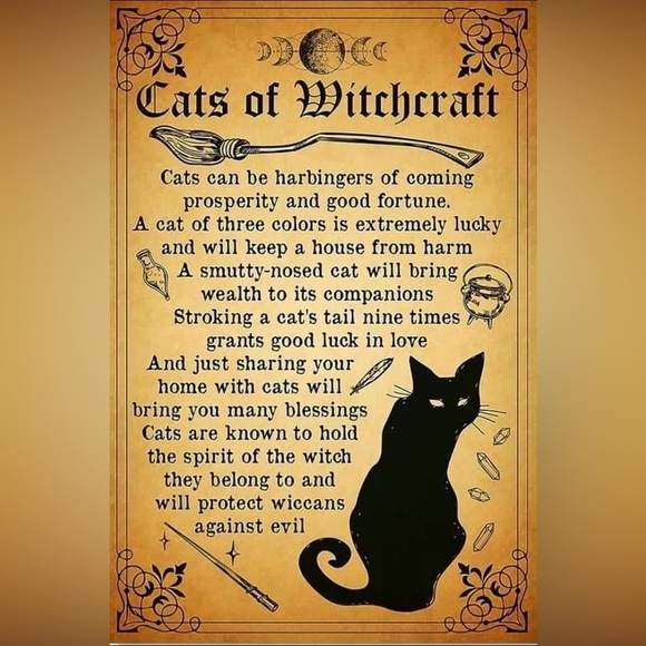 $2 WITCH CAT PIN/BROOCH. ENAMEL/METAL. NEW. $2 WITH ANY $10 ORDER OR MORE - Picture 8 of 16